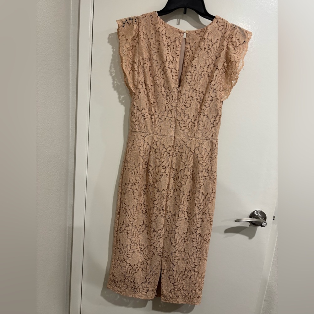 ZARA Elegant Lace Dress, Medium - Picture 3 of 9